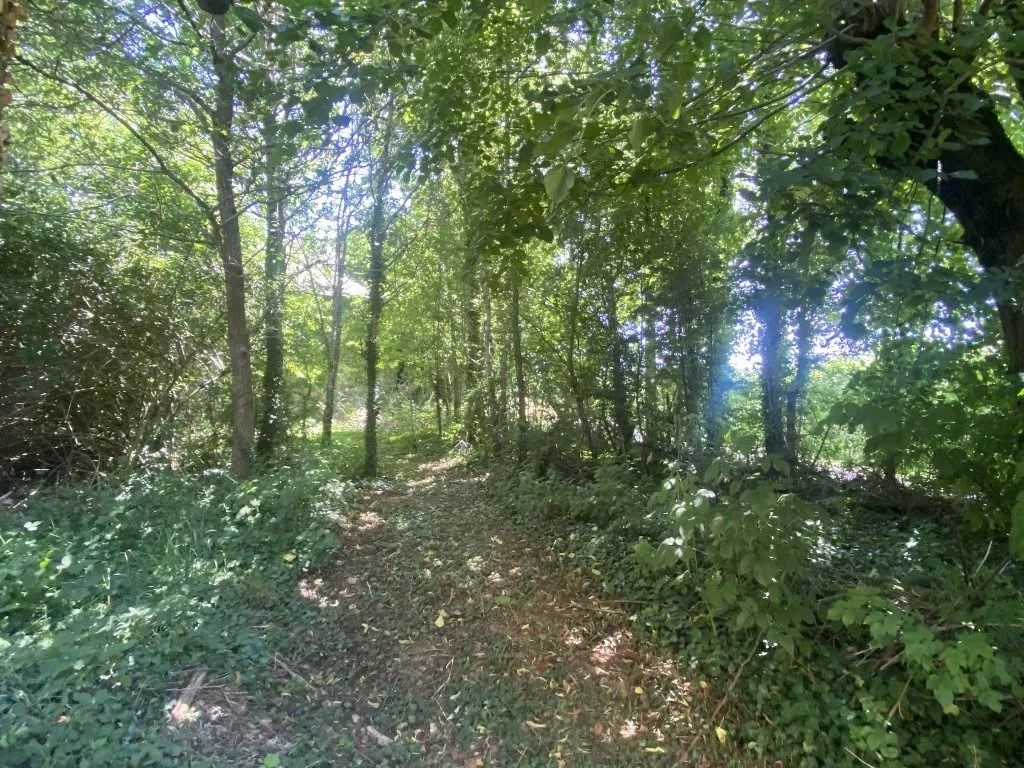 Propriété en pierre à Châteauneuf-la-Forêt avec terrain et dépendances 