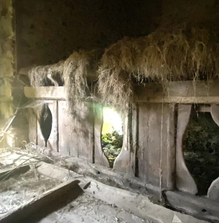 Propriété en pierre à Châteauneuf-la-Forêt avec terrain et dépendances 