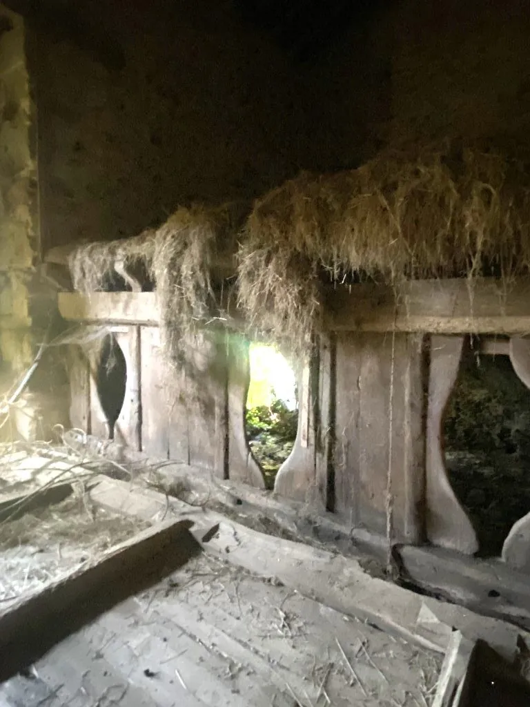 Propriété en pierre à Châteauneuf-la-Forêt avec terrain et dépendances 