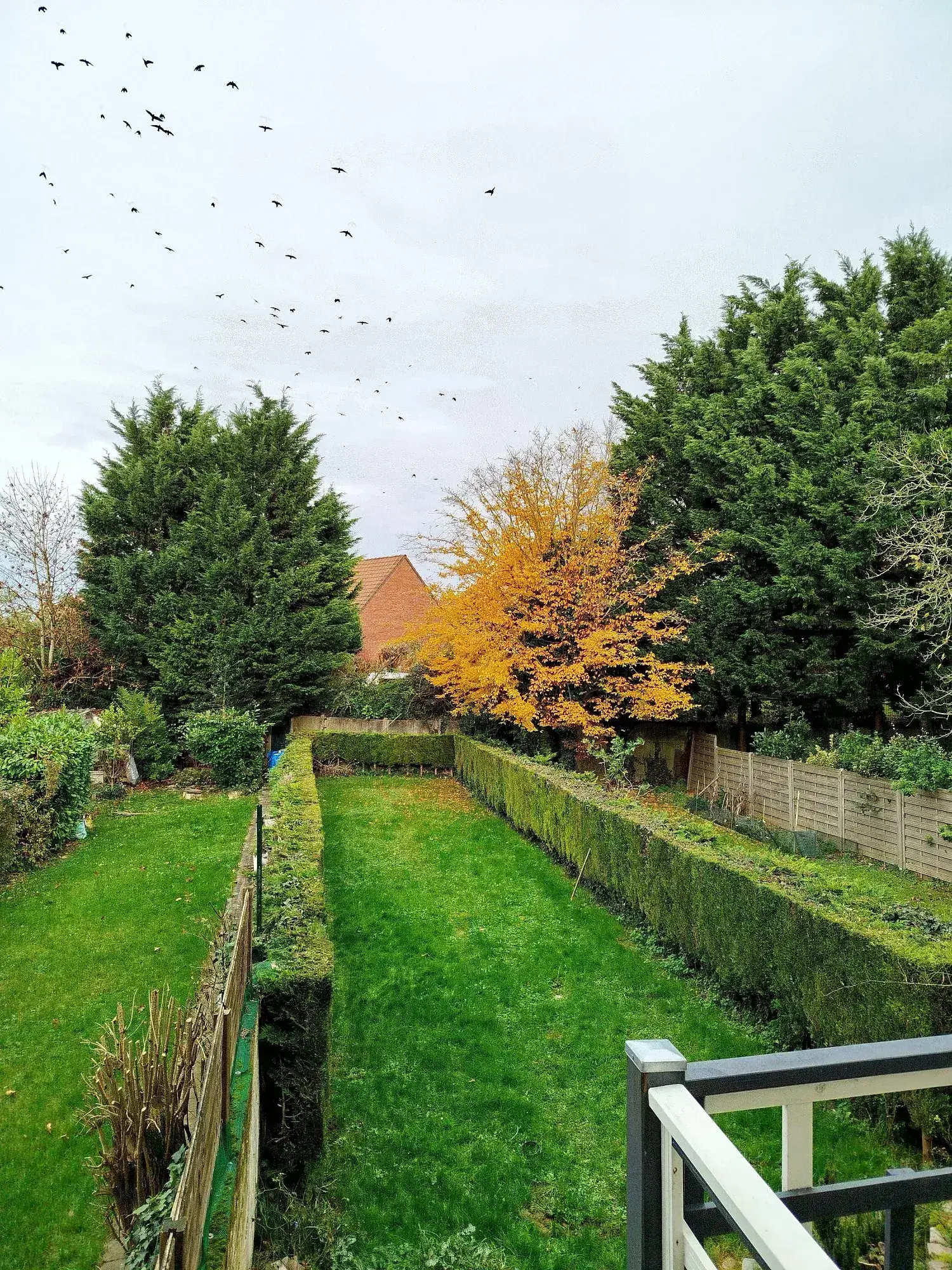 Maison à vendre à Houplines - 70m² avec jardin et parking 