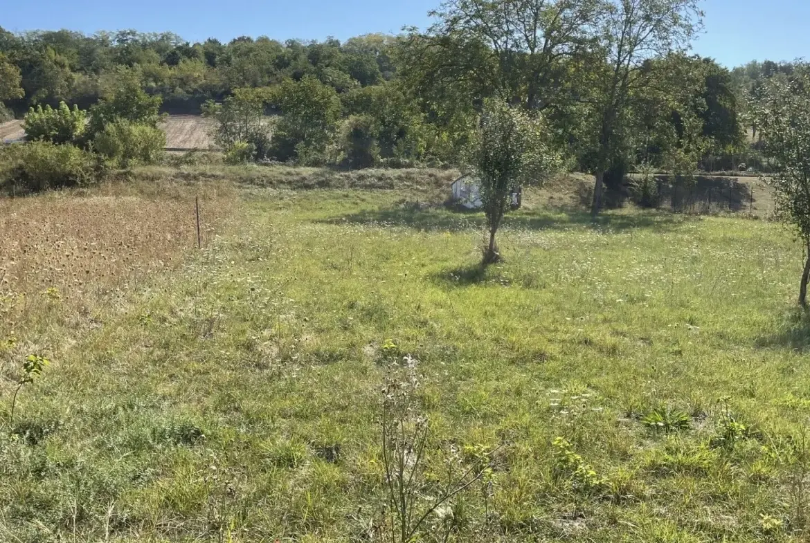 Terrain constructible de 1635 m² à Créchy - Opportunité à saisir 