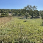 Terrain constructible de 1635 m² à Créchy - Opportunité à saisir