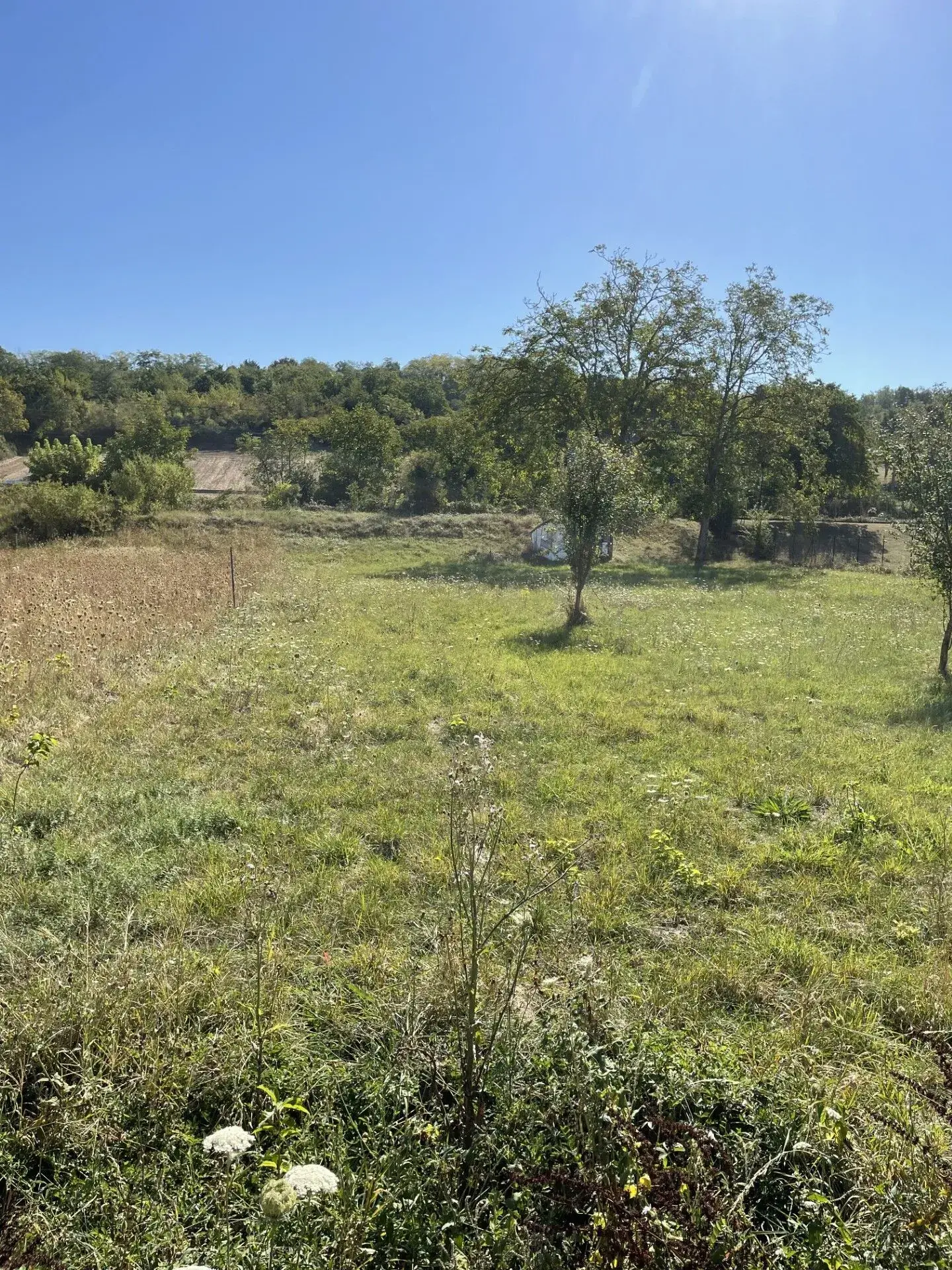 Terrain constructible de 1635 m² à Créchy - Opportunité à saisir 