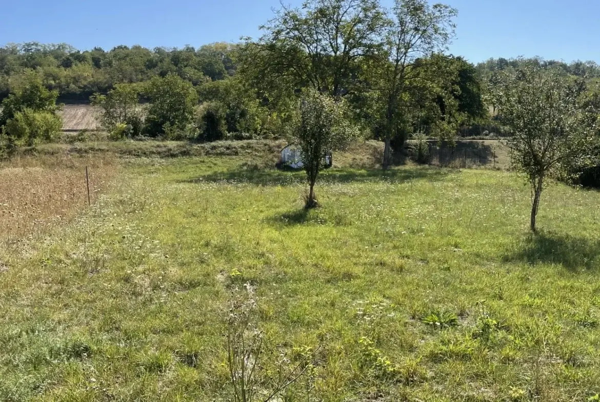 Terrain constructible de 1635 m² à Créchy - Opportunité à saisir 