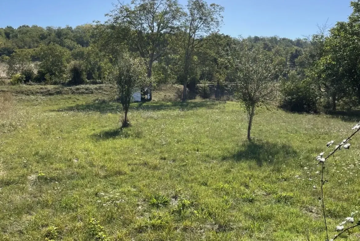 Terrain constructible de 1635 m² à Créchy - Opportunité à saisir 