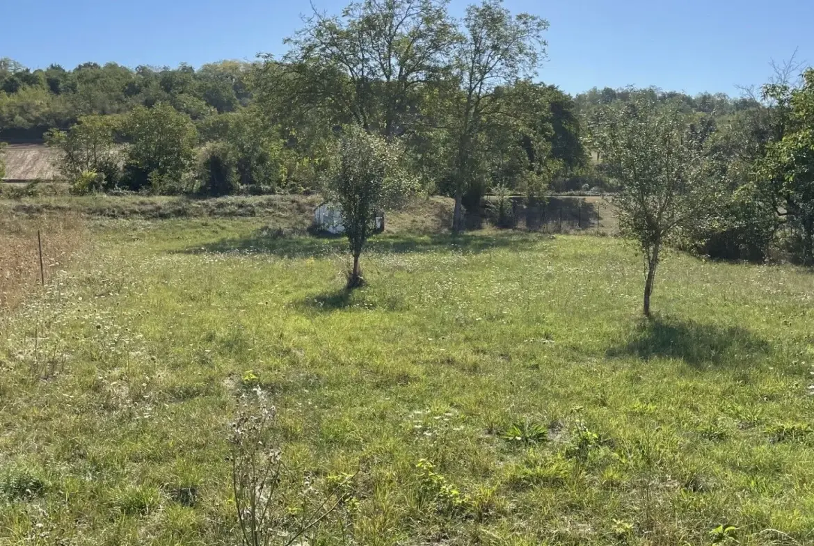 Terrain constructible de 1635 m² à Créchy - Opportunité à saisir 