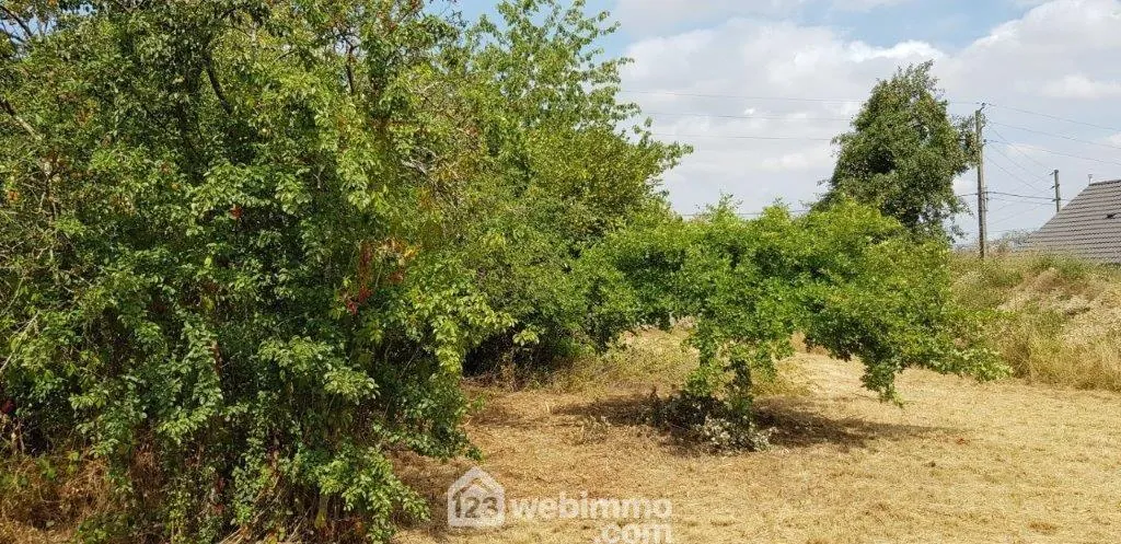 Terrain constructible de 753 m² à vendre proche de Nemours 