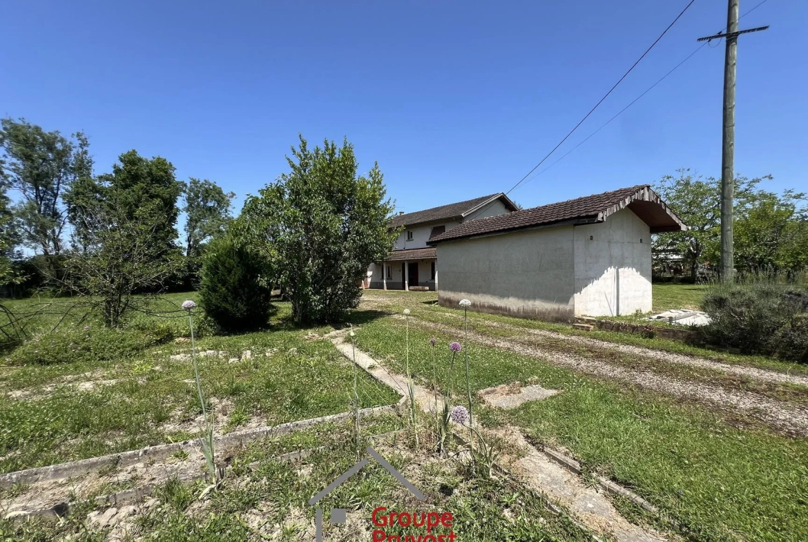 Maison familiale avec grands terrains constructibles à Saint Etienne sur Reyssouze 
