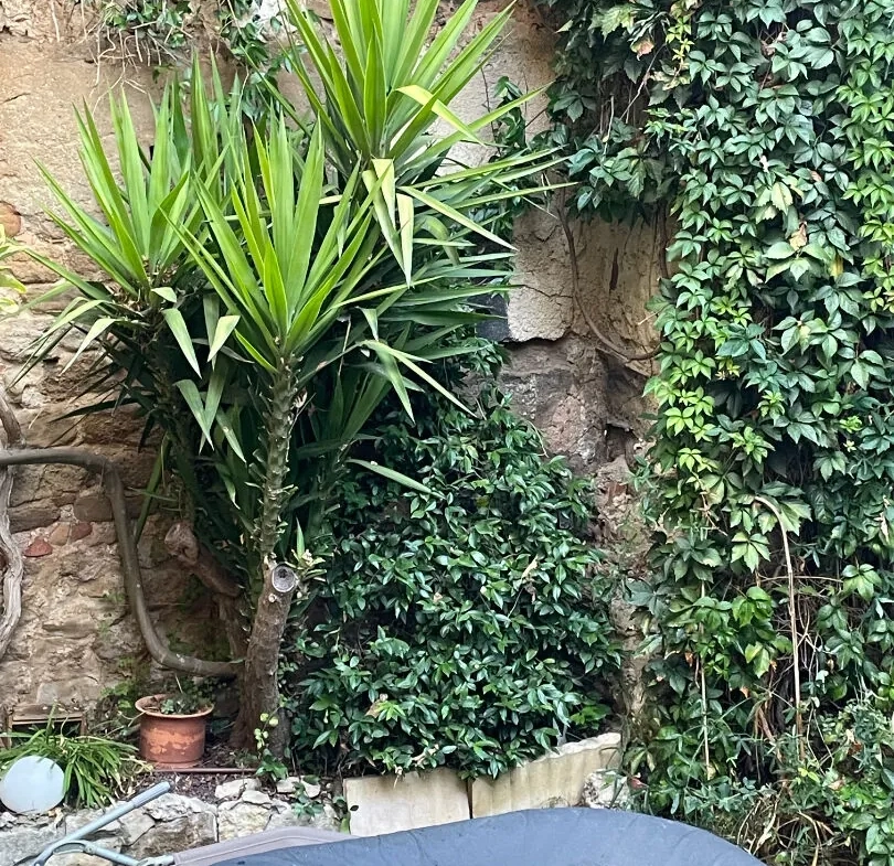 Maison à vendre à Aubignan – 3 chambres, jardin et terrasse, rénovée et équipée 