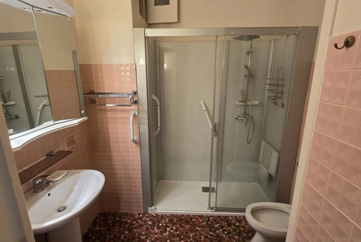 Appartement 4 pièces à Grenoble proche gare - 109 m² avec cave et climatisation 