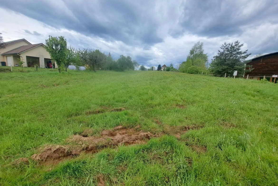 Terrain constructible de 1800 m² à Épinal - Environment calme et proximité 
