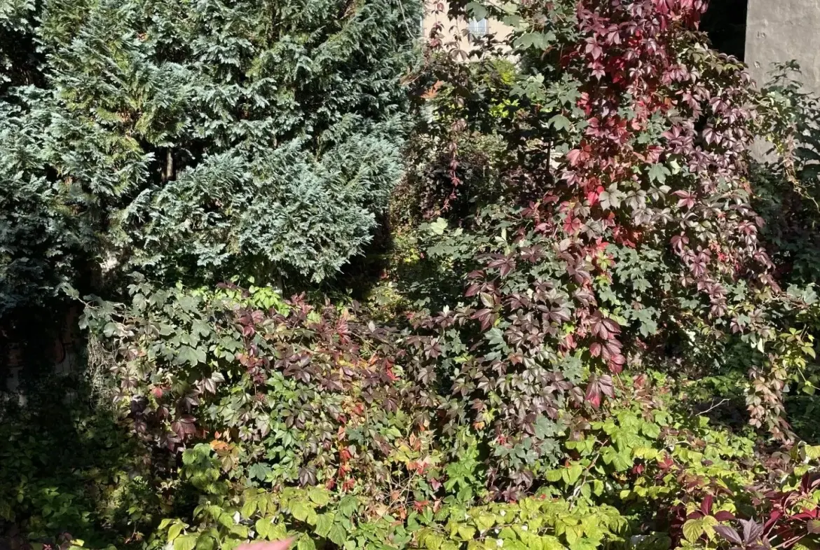 Terrain constructible de 261 m² à Vichy proche parcs et CAVILAM 