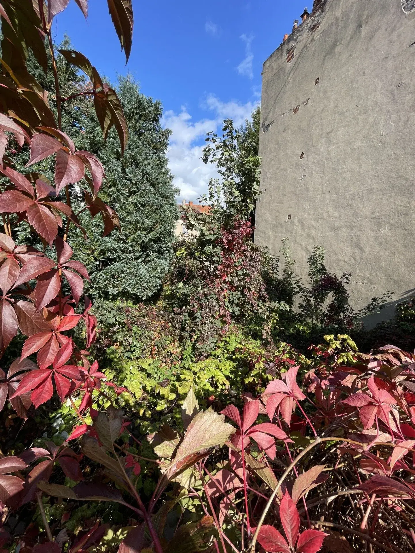 Terrain constructible de 261 m² à Vichy proche parcs et CAVILAM 