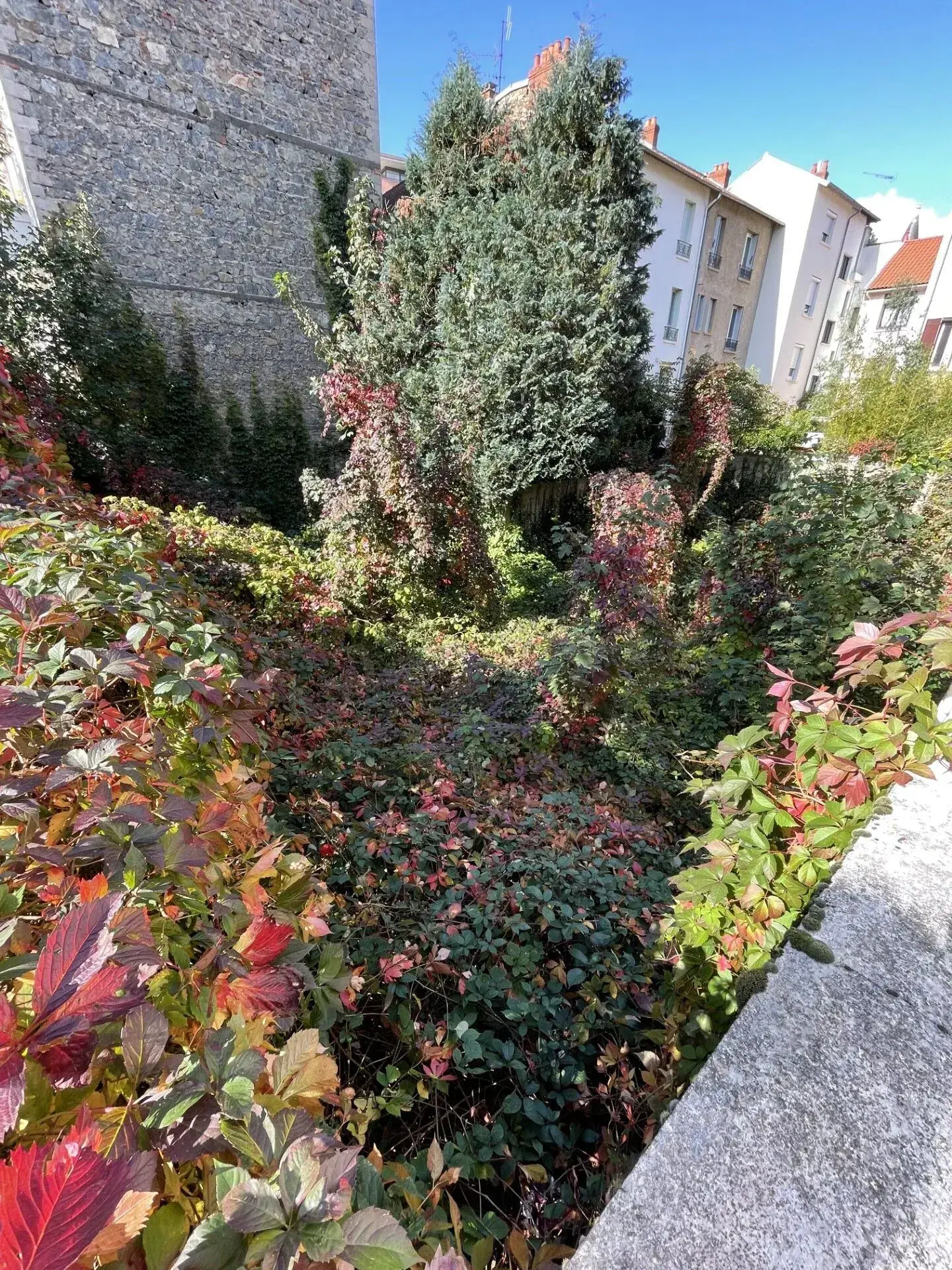 Terrain constructible de 261 m² à Vichy proche parcs et CAVILAM 