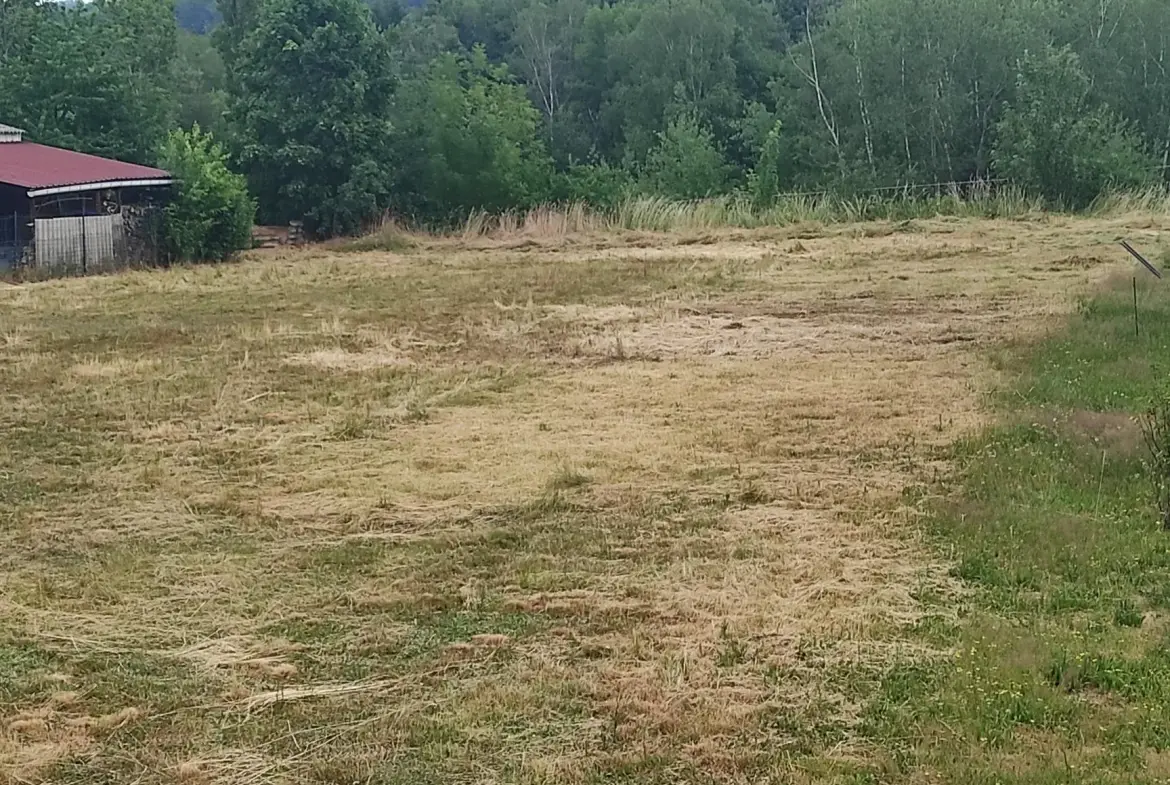 Terrain constructible de 1464 m² sur l'axe Epinal - Remiremont à saisir 