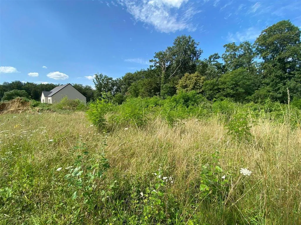 Terrain constructible de 960 m² à Montaigu, environnement boisé et proche commodités 