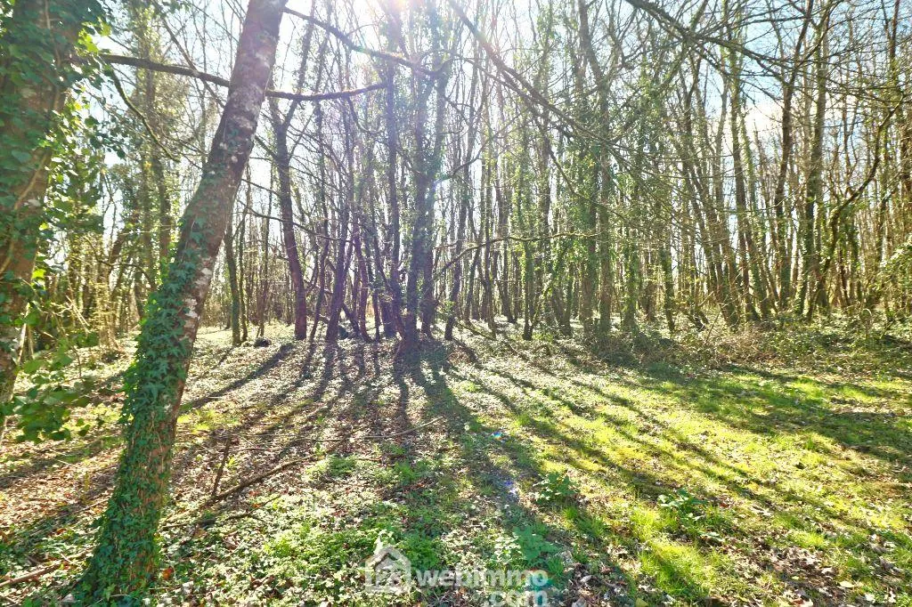 Maison de 93 m2 à Couhé, proche de Poitiers, idéal résidence ou vacances avec dépendances et jardin 