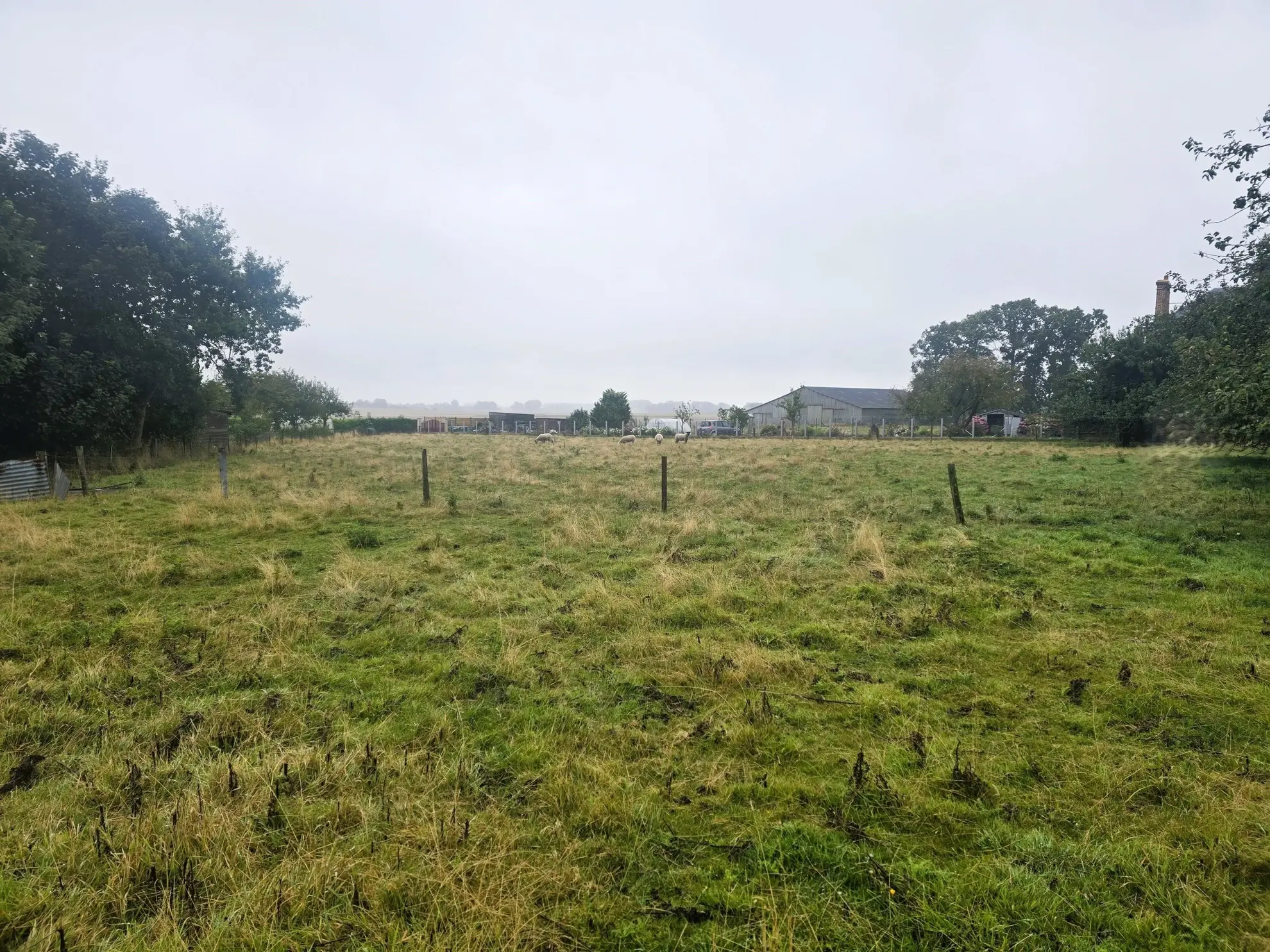 Terrain à bâtir de 1600 m² à Froberville hors lotissement, calme et constructible 