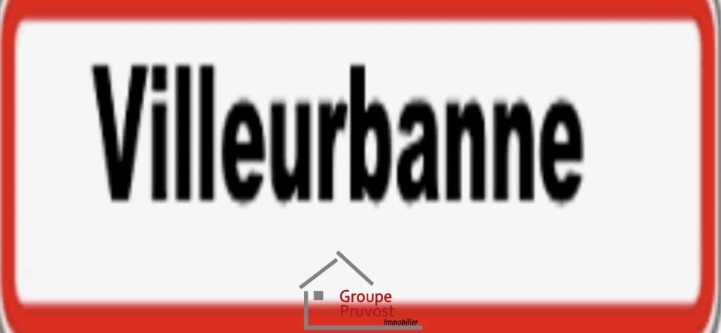 Appartement T3 rénové de 49 m² à Villeurbanne avec parking et cave