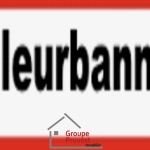 Appartement T3 rénové de 49 m² à Villeurbanne avec parking et cave