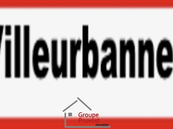 Appartement T3 rénové de 49 m² à Villeurbanne avec parking et cave