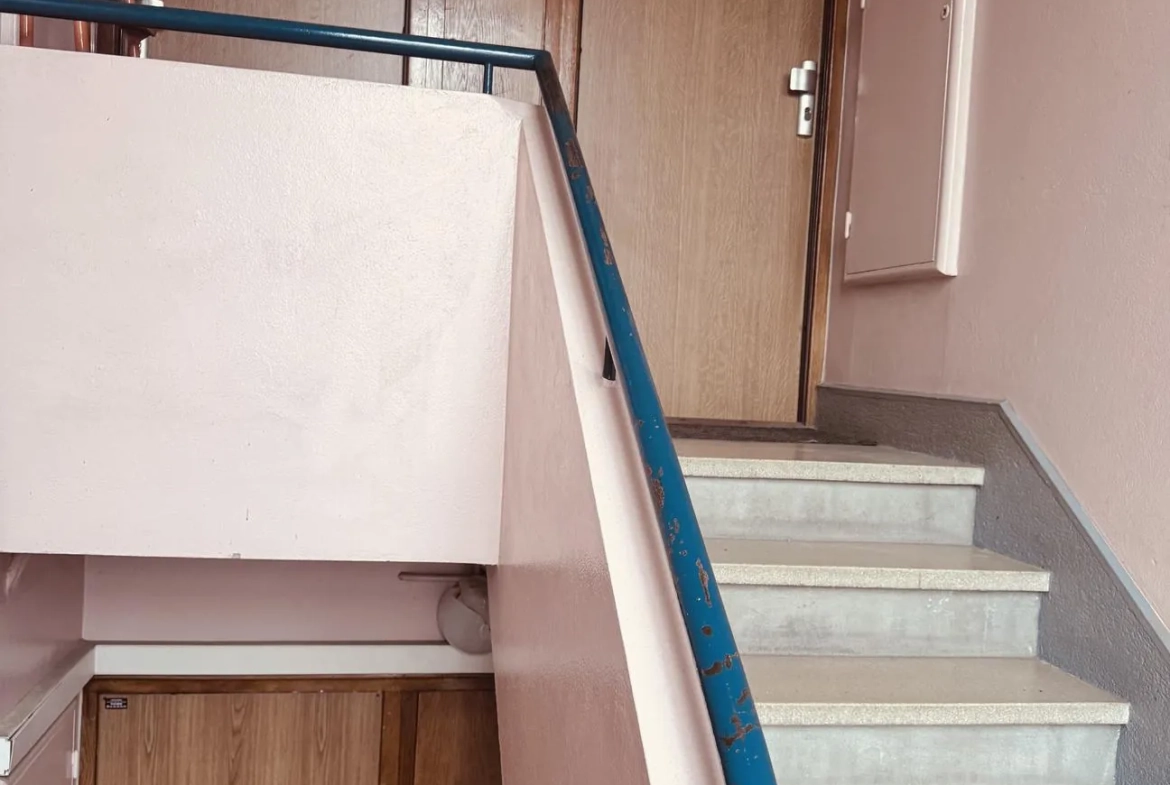 Appartement T3 rénové de 49 m² à Villeurbanne avec parking et cave 