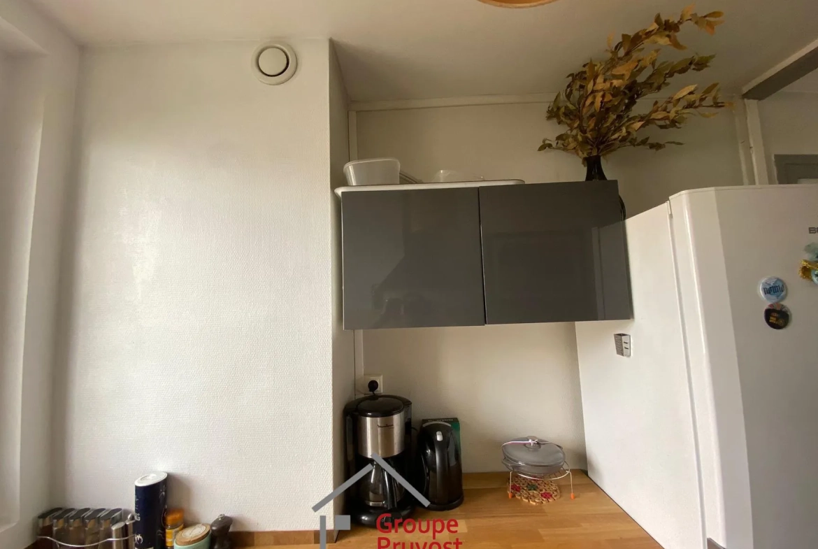 Appartement T3 rénové de 49 m² à Villeurbanne avec parking et cave 