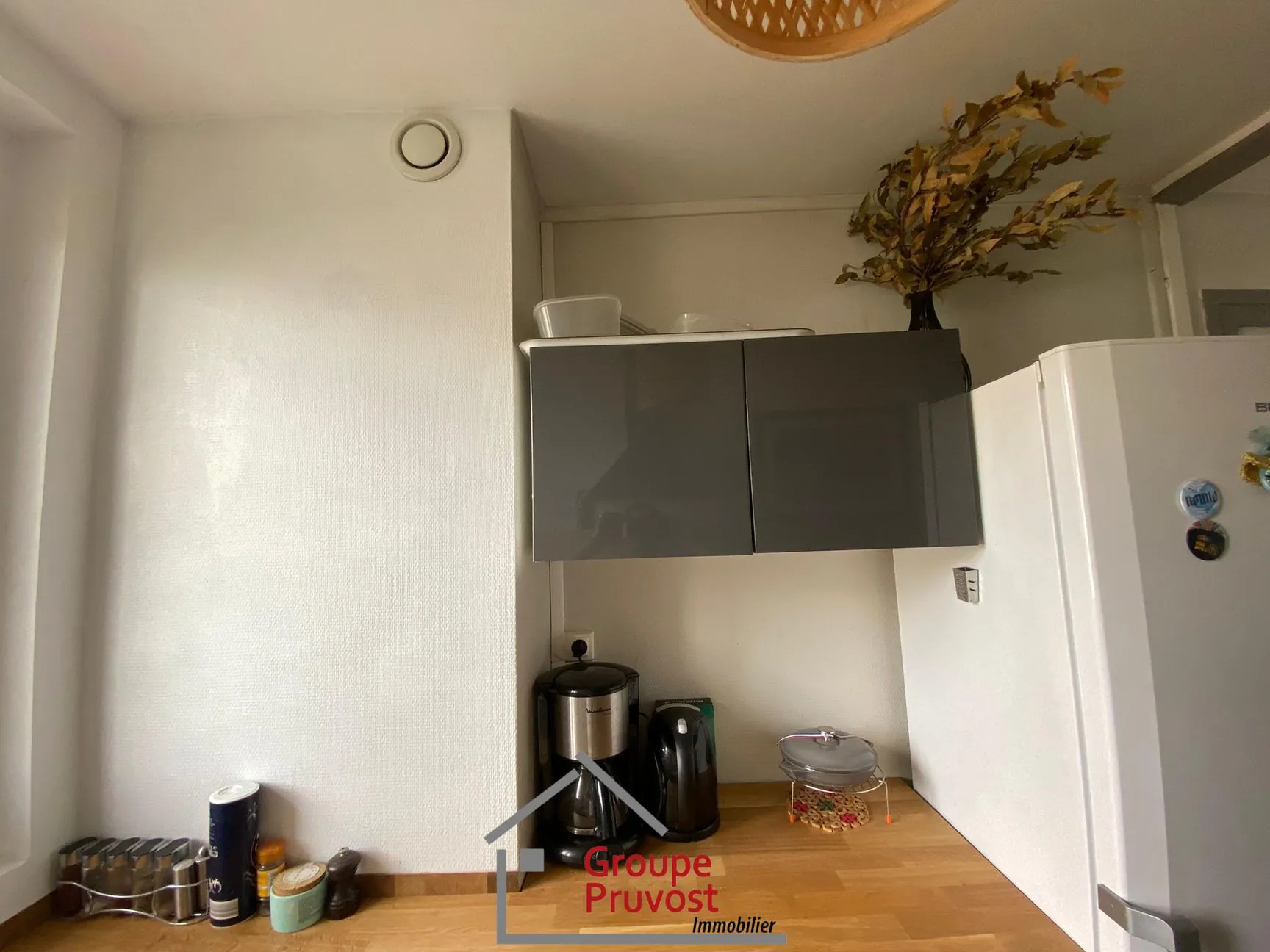 Appartement T3 rénové de 49 m² à Villeurbanne avec parking et cave 