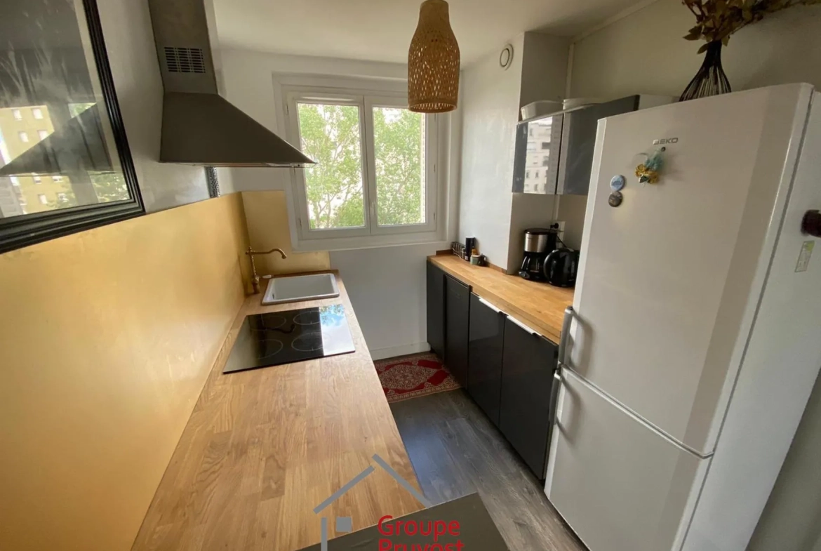 Appartement T3 rénové de 49 m² à Villeurbanne avec parking et cave 