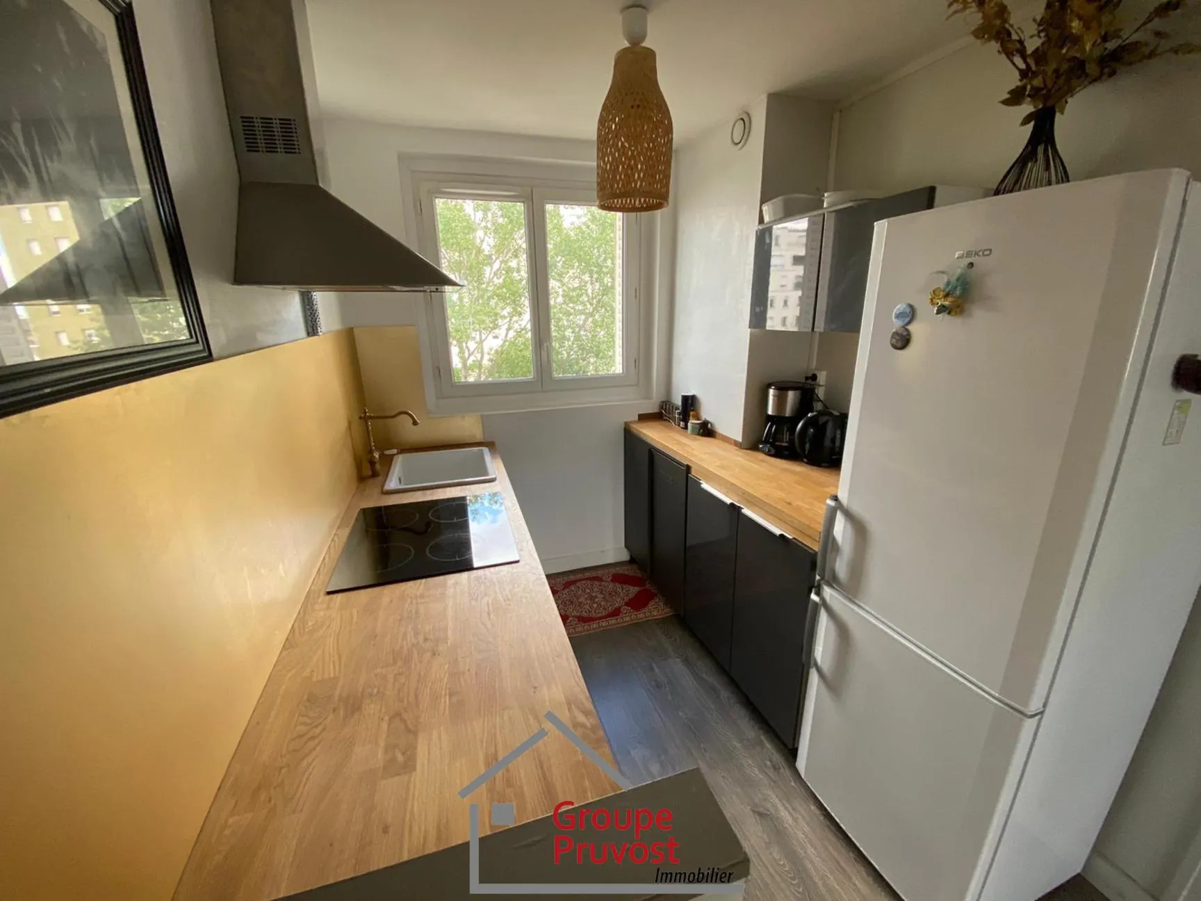 Appartement T3 rénové de 49 m² à Villeurbanne avec parking et cave 