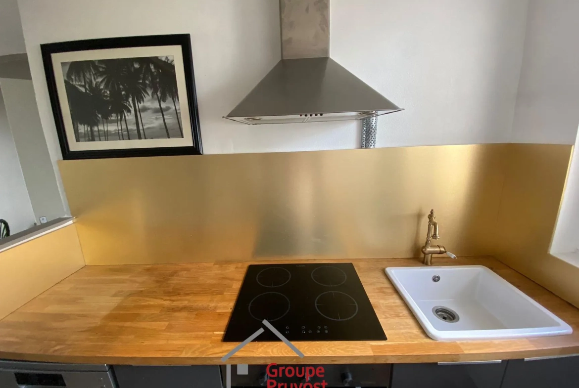 Appartement T3 rénové de 49 m² à Villeurbanne avec parking et cave 