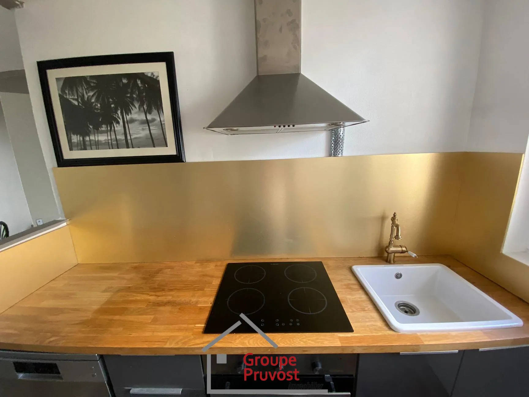 Appartement T3 rénové de 49 m² à Villeurbanne avec parking et cave 