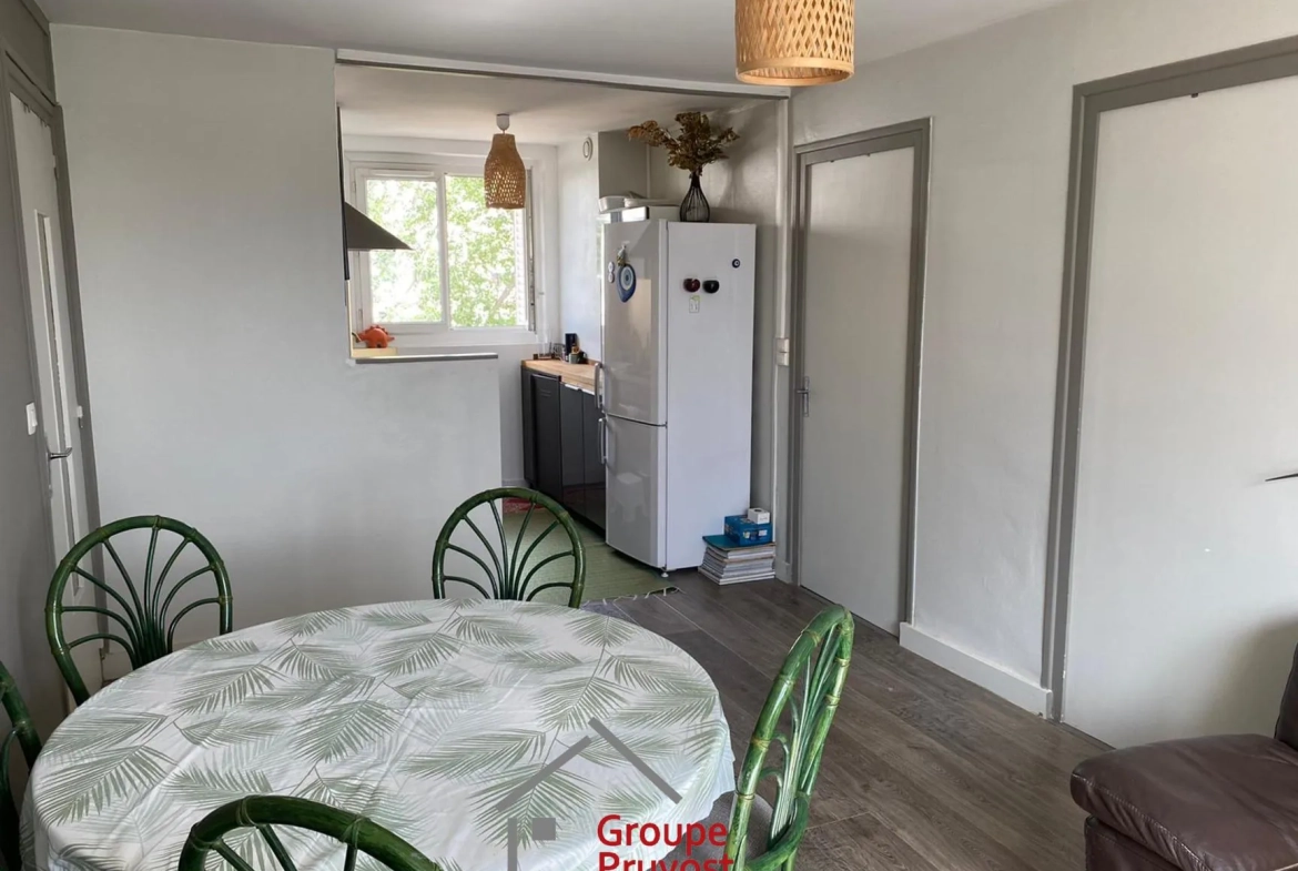 Appartement T3 rénové de 49 m² à Villeurbanne avec parking et cave 