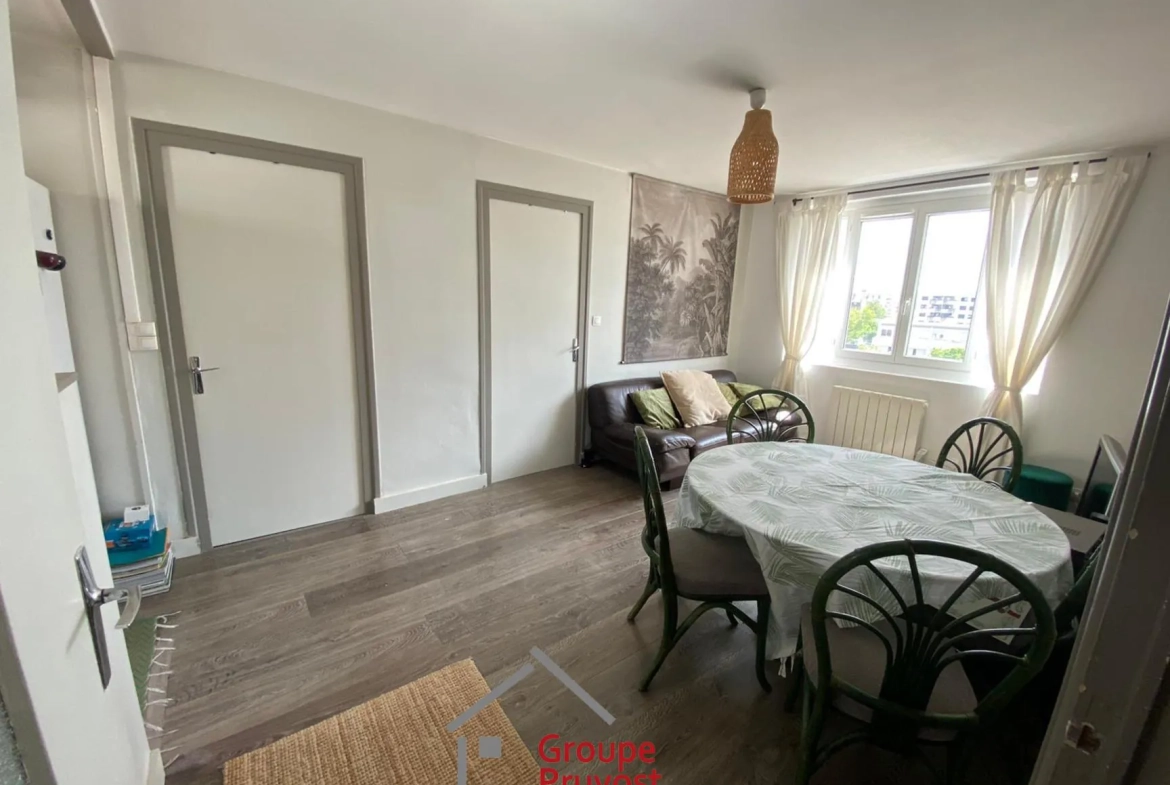 Appartement T3 rénové de 49 m² à Villeurbanne avec parking et cave 