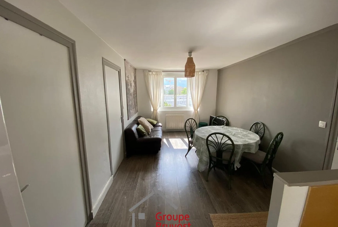 Appartement T3 rénové de 49 m² à Villeurbanne avec parking et cave 