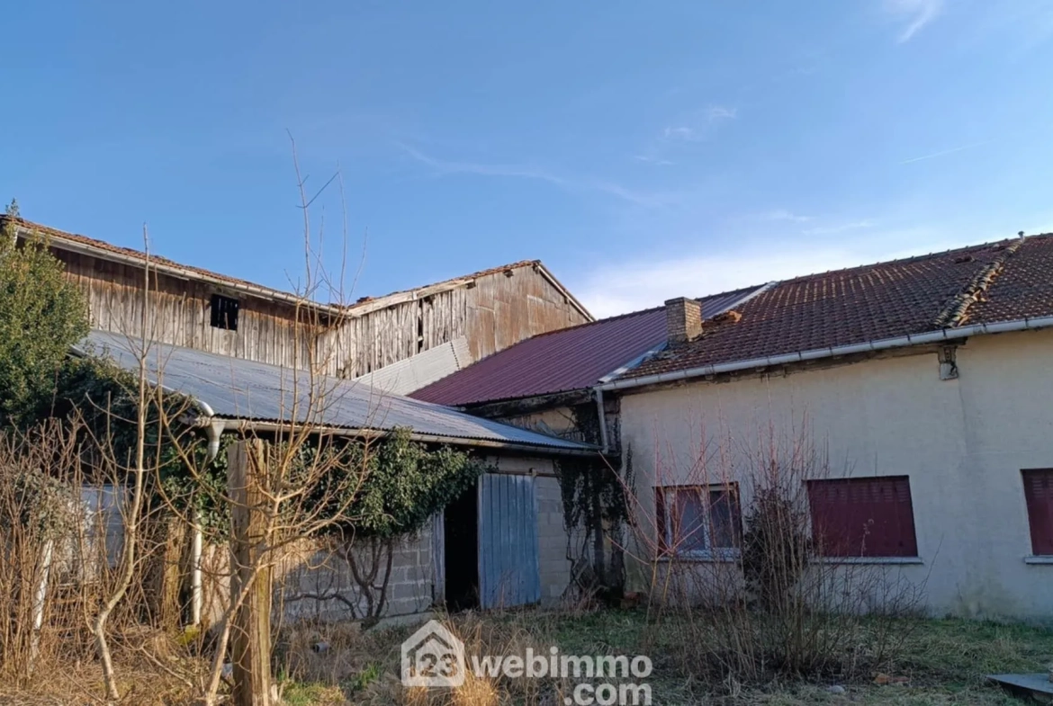 Corps de ferme à vendre à Lavoye – 123 m² avec dépendances sur 3 252 m² 