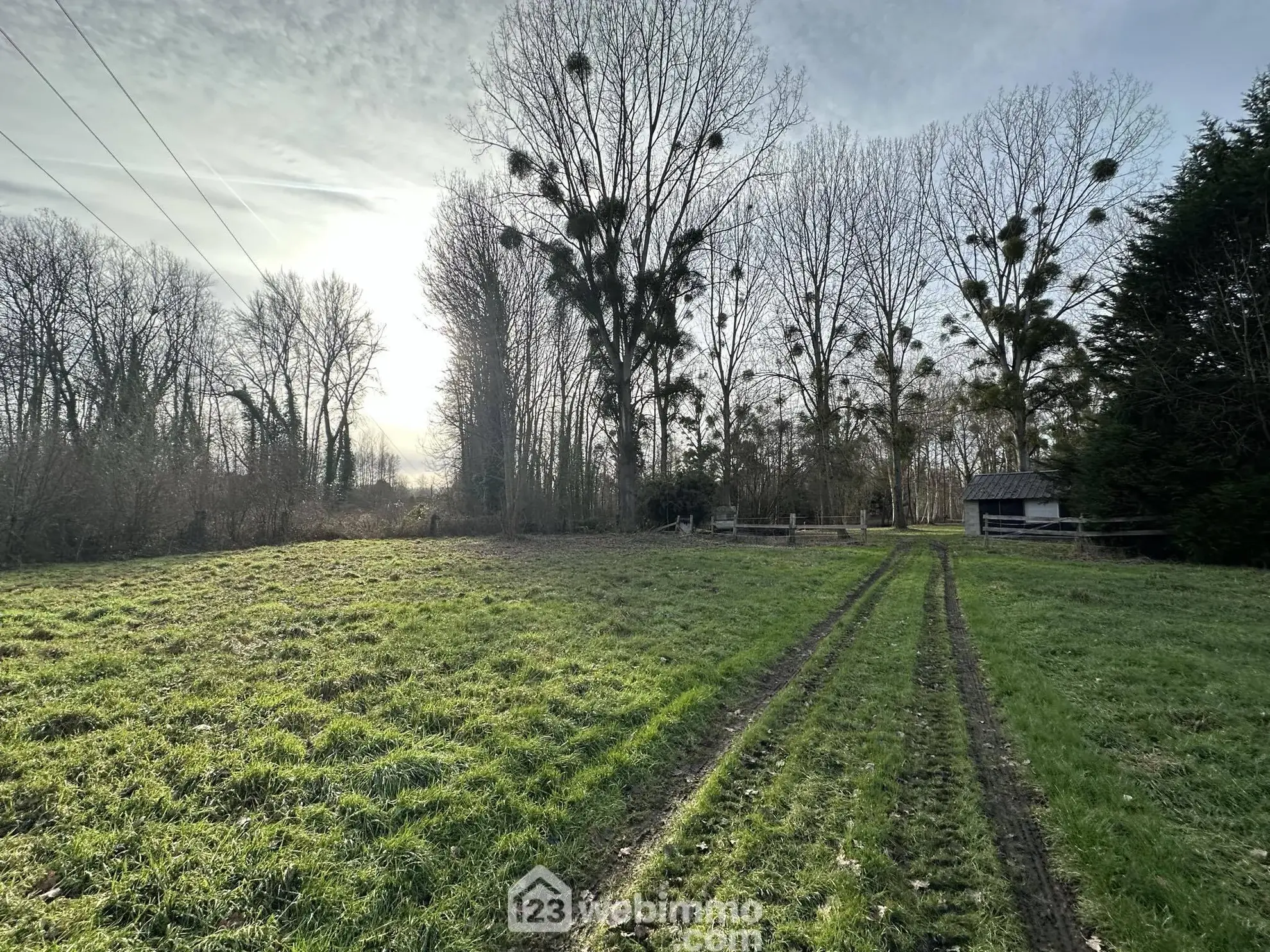 Terrain de loisir de 3900 m² à Presles-et-Thierny, idéal pour amateurs de nature 