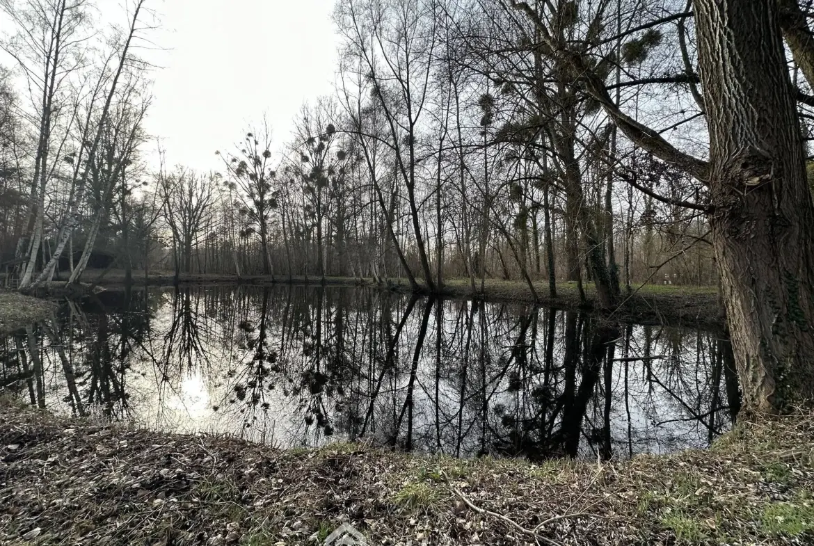 Terrain de loisir de 3900 m² à Presles-et-Thierny, idéal pour amateurs de nature 
