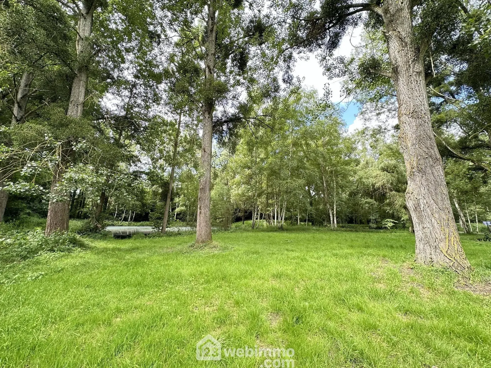 Terrain de loisir de 3900 m² à Presles-et-Thierny, idéal pour amateurs de nature 