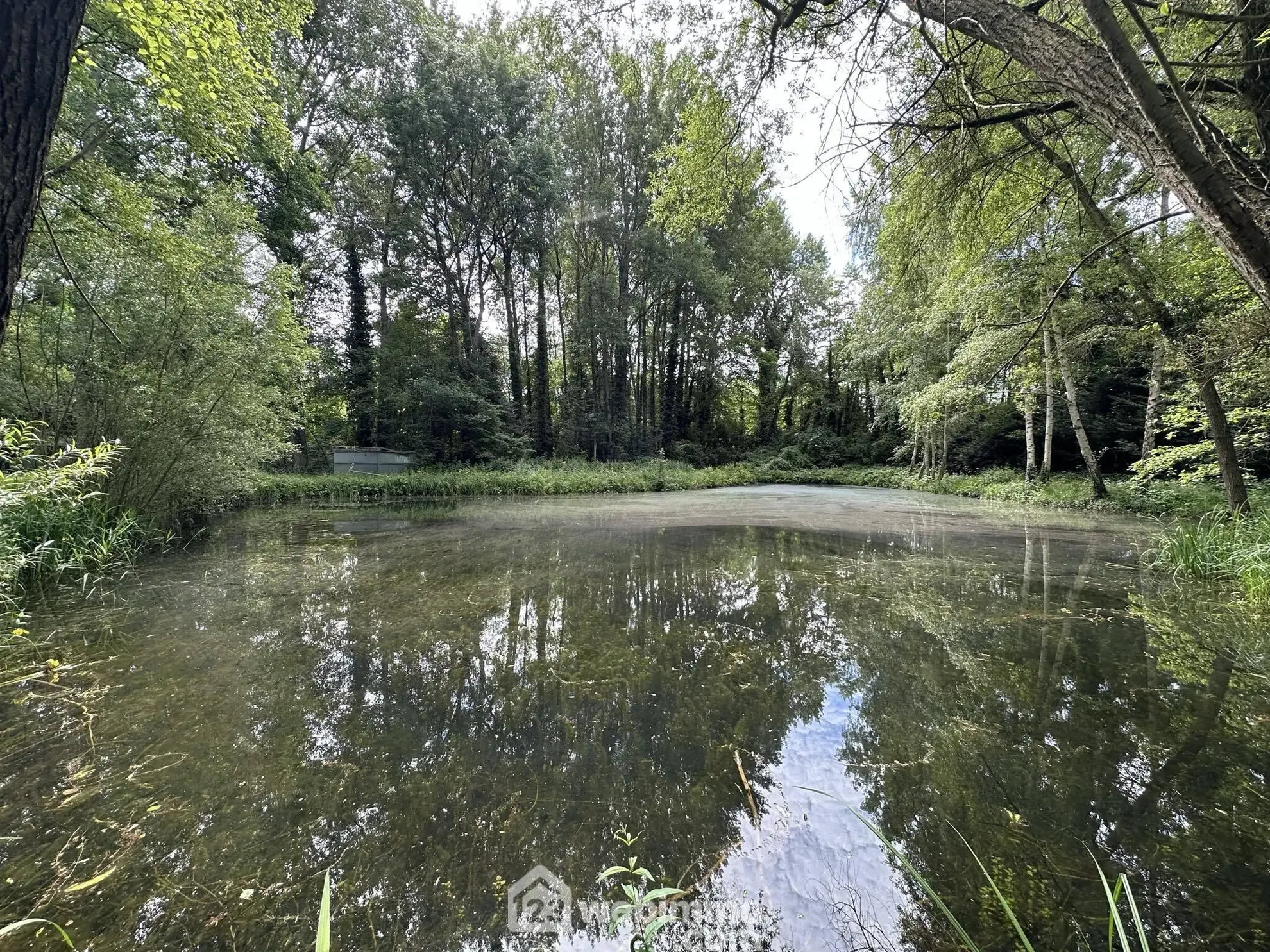 Terrain de loisir de 3900 m² à Presles-et-Thierny, idéal pour amateurs de nature 