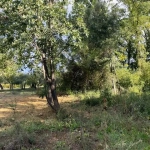 Terrains à bâtir de 537 m² à Martignargues, vue campagne, disponsible à la vente