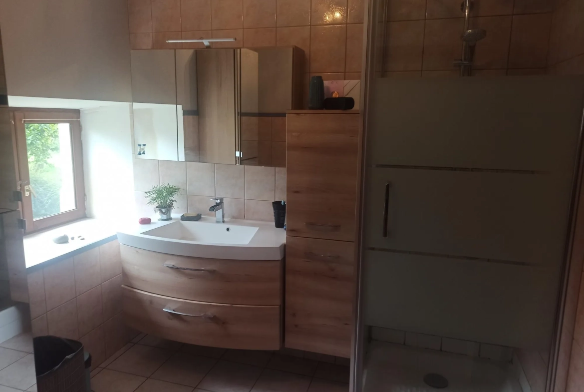 Maison à vendre à Danjoutin – 130 m², terrain de 22 ares, potentiel familial dans cadre verdoyant 