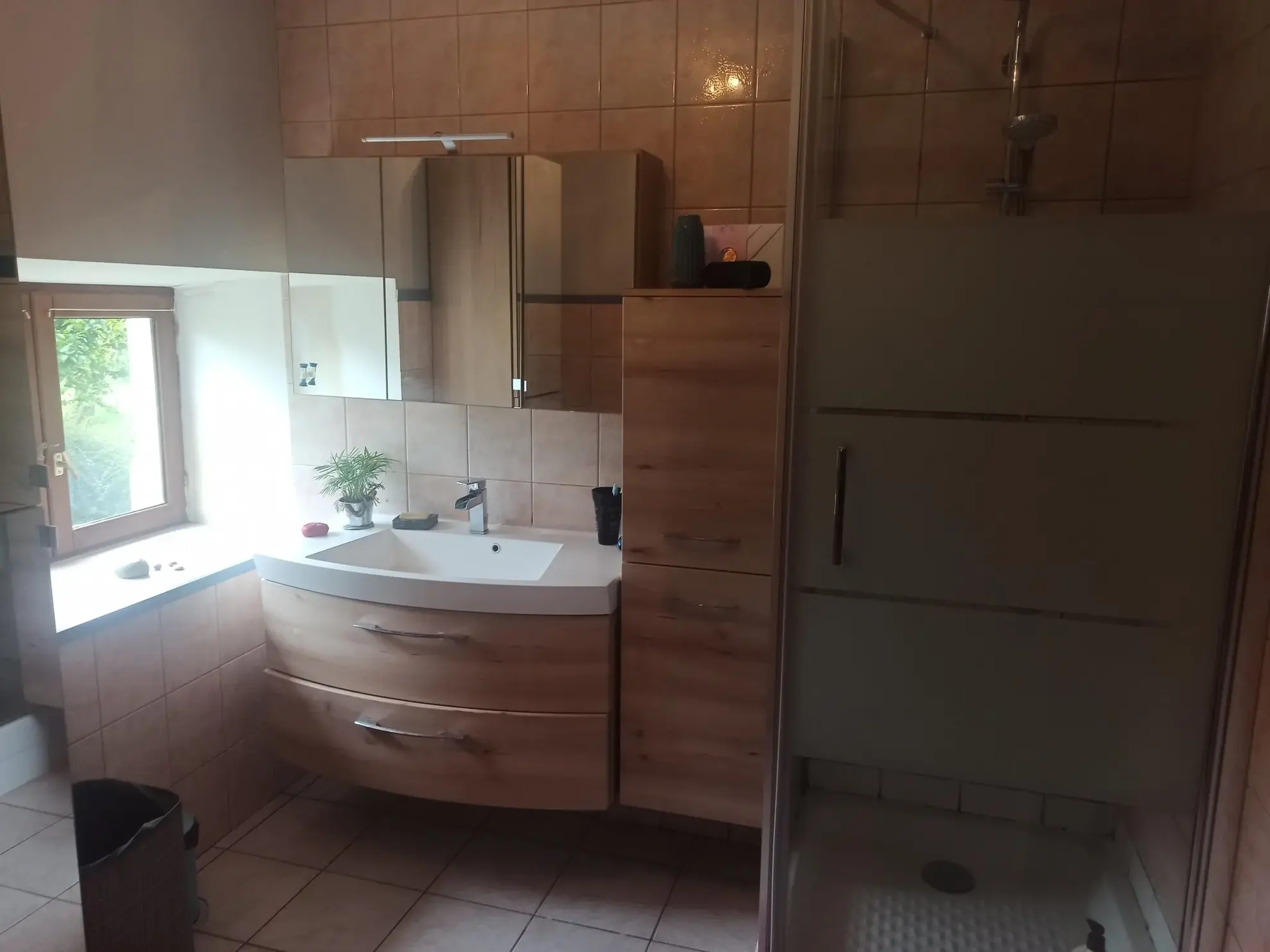 Maison à vendre à Danjoutin – 130 m², terrain de 22 ares, potentiel familial dans cadre verdoyant 