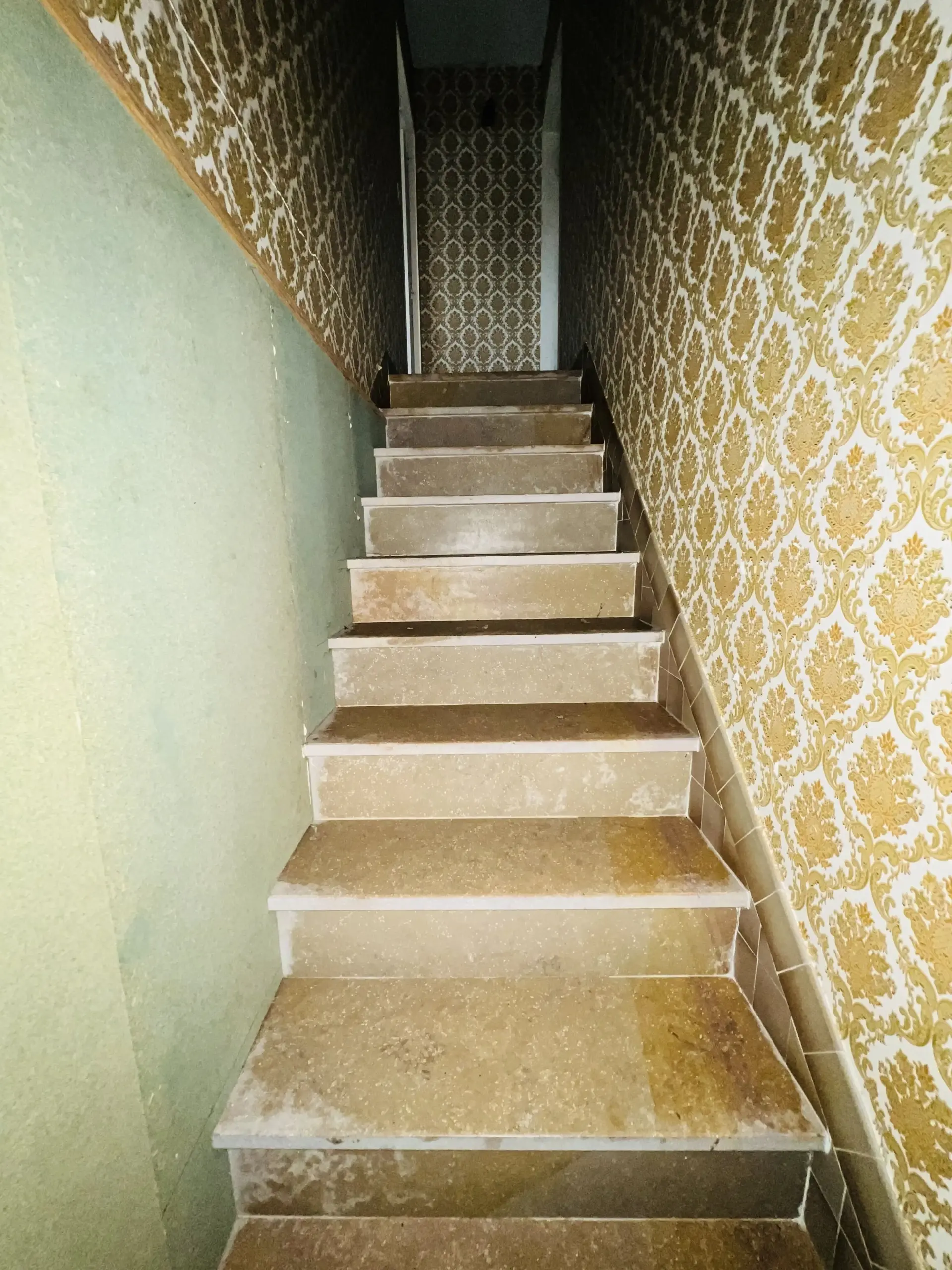 Maison à rénover au Pin près de Digoin et Vichy - 200 m² 