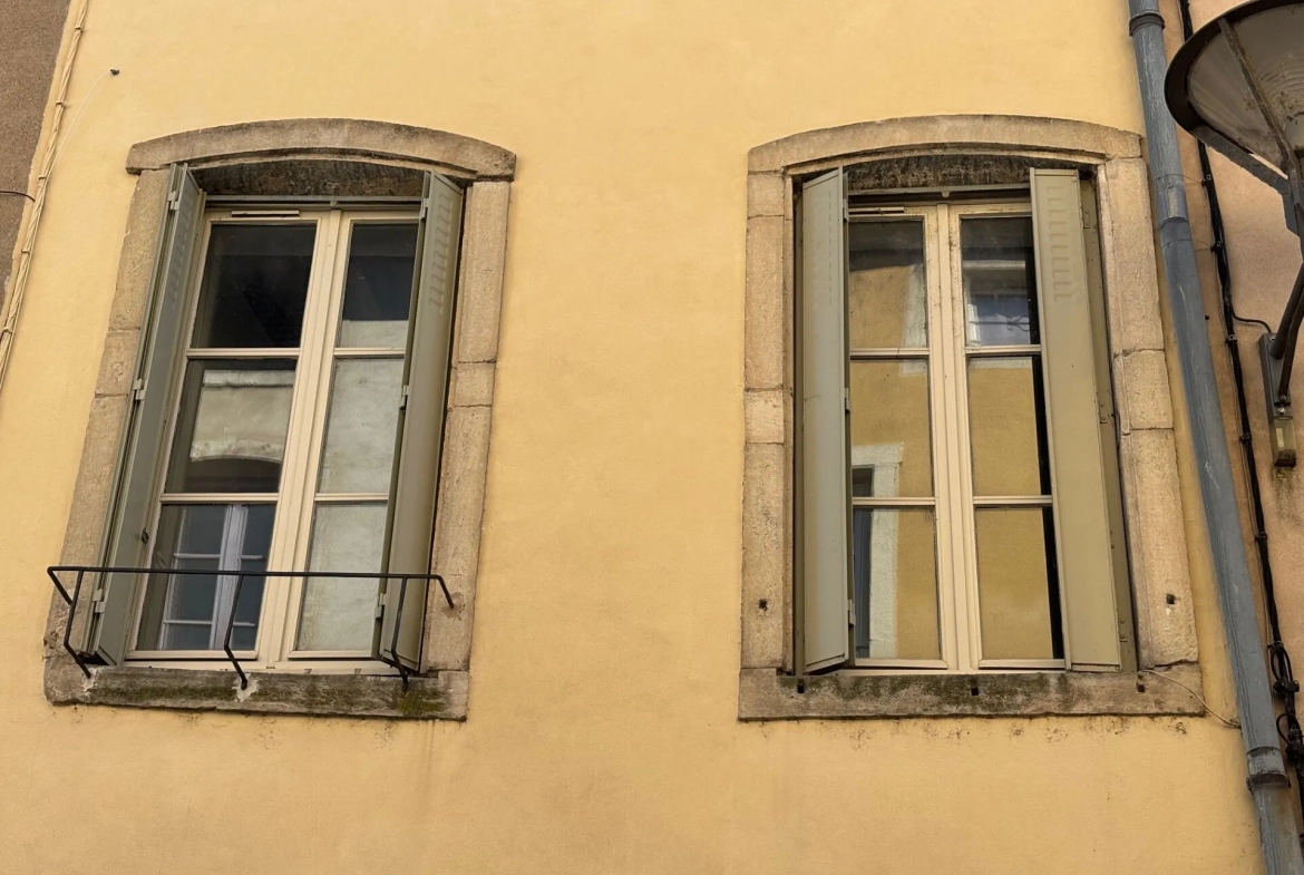 Appartement à rénover de 50 m² au centre de Tournus, idéal investissement ou résidence principale 