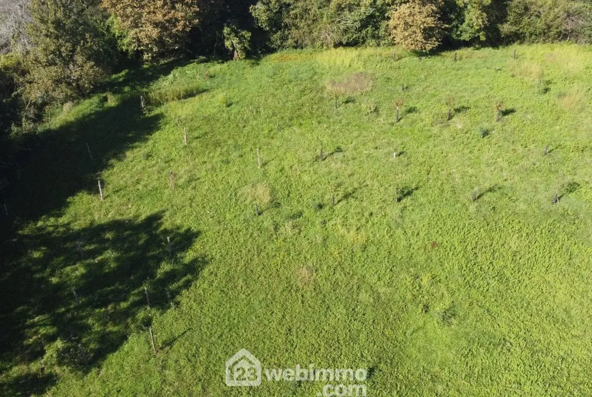 Ferme avec maison, commerce et hangars à Casteide-Candau - Investissement potentiel 
