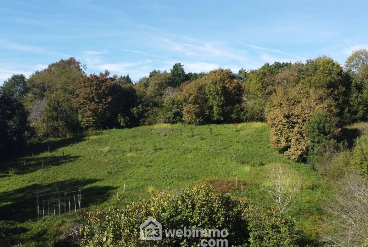 Ferme avec maison, commerce et hangars à Casteide-Candau - Investissement potentiel 