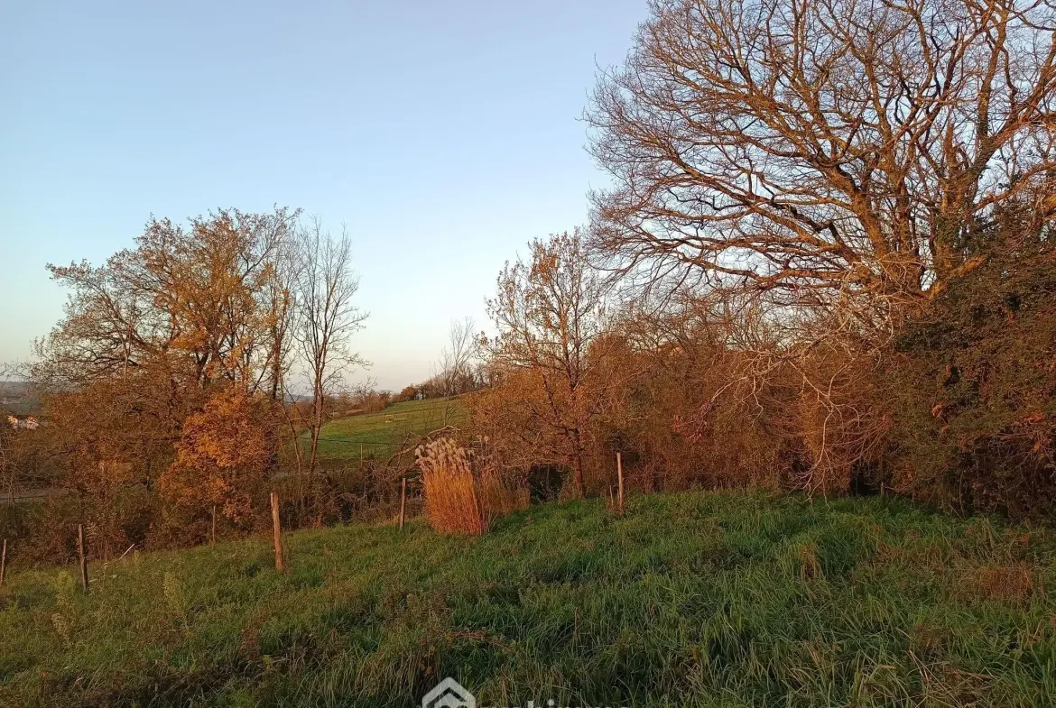 Ferme avec maison, commerce et hangars à Casteide-Candau - Investissement potentiel 