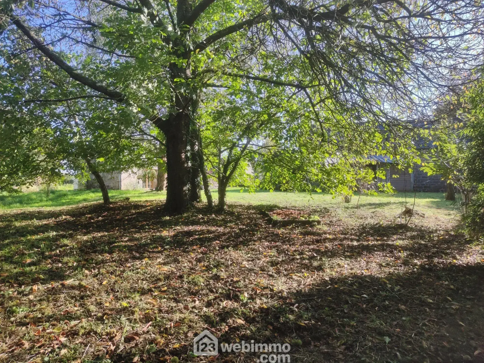 Maison individuelle de charme à Vieux-Marché avec dépendance et grand terrain 