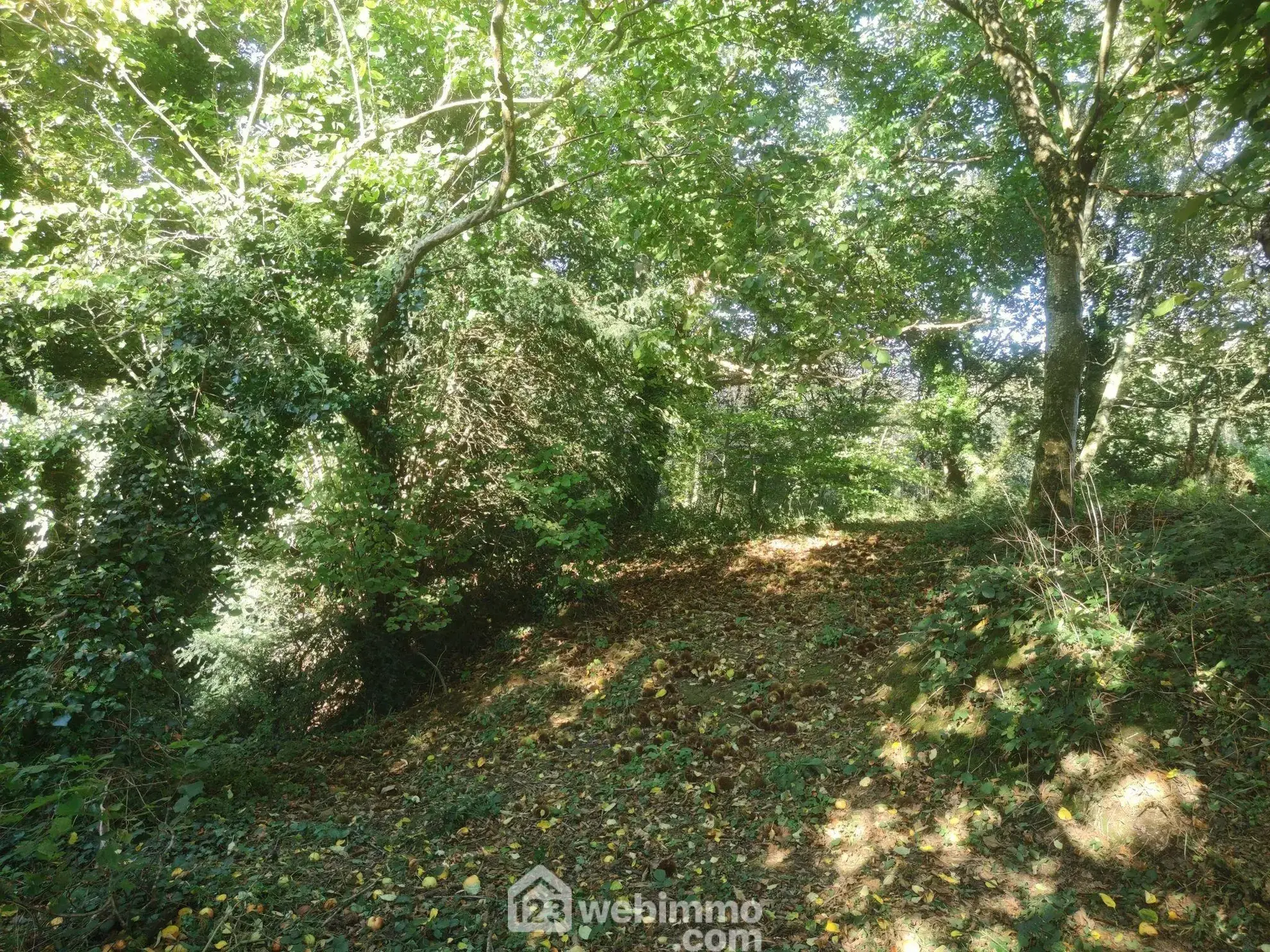 Maison individuelle de charme à Vieux-Marché avec dépendance et grand terrain 